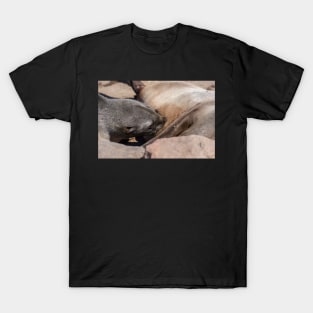 Baby fur seal feeding. T-Shirt